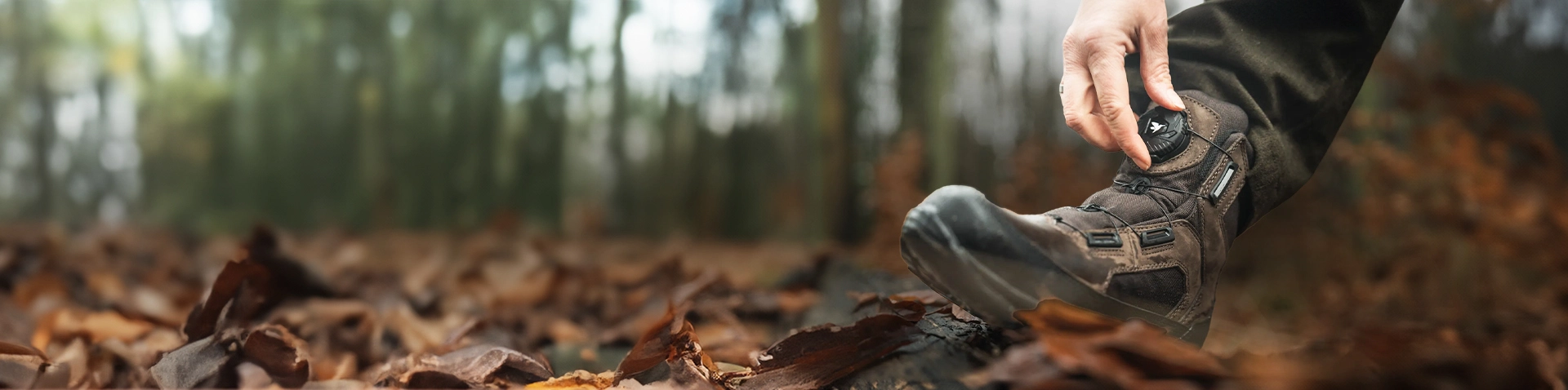 Skarpety Field Pine za 1 zł